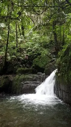 Brinco Poza del Angel