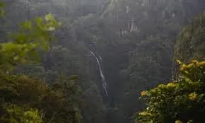 Cañon San Cristobal