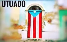 Bandera en la Puerta