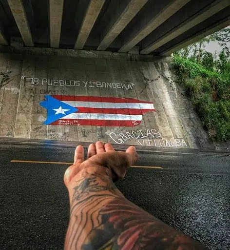 Proyecto Bandera Villalba