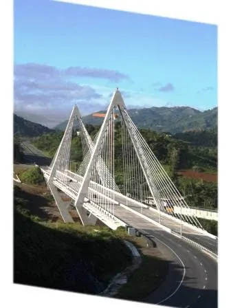 Puente Atirantado Naranjito