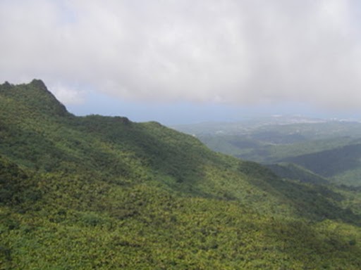 Central Monte Grande