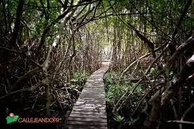 Camino Tablado agua dulce