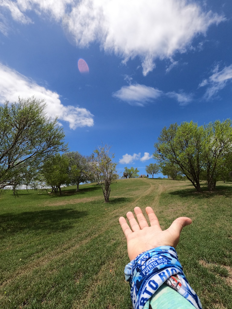 PR llegara mas lejos arte