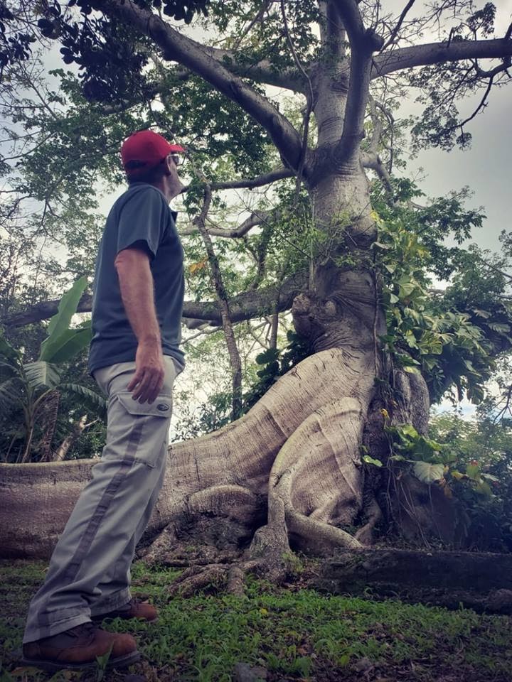 La Ceiba de la libertad