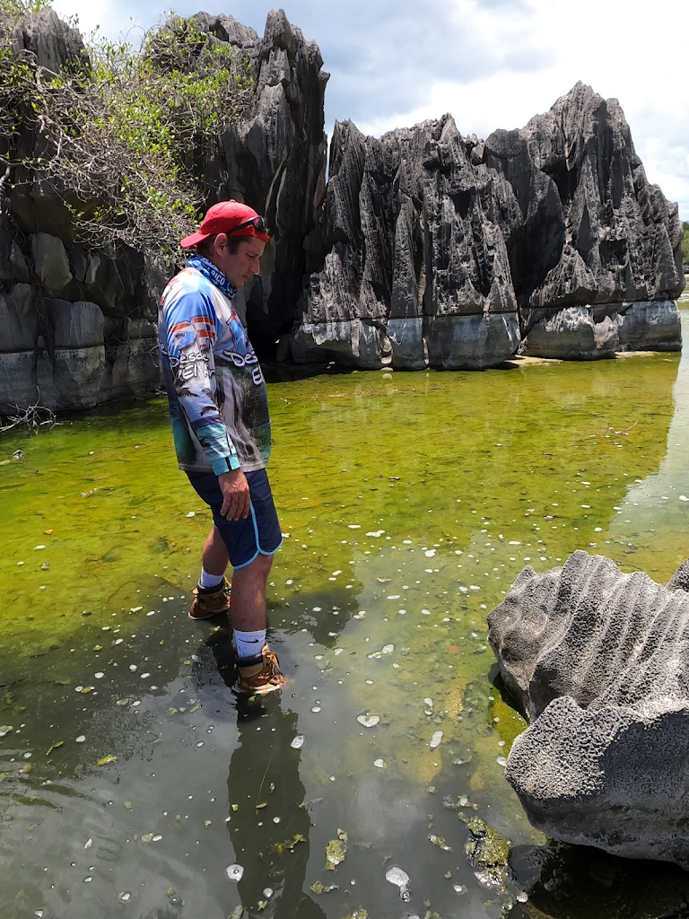 Paseo de la Princesa