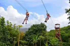 Rainforest Zipline Park