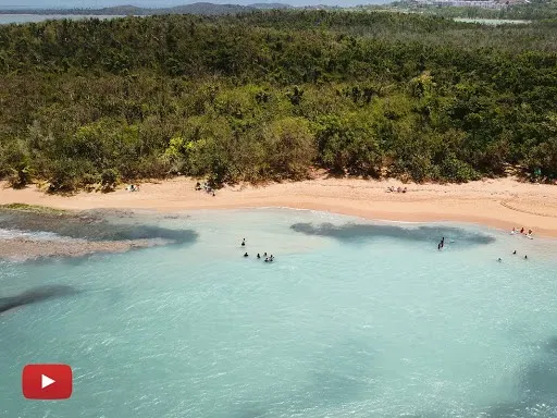 Playa escondida Ceiba, Base