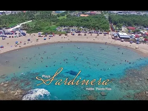 Playa Sardinera