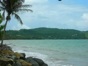 Tropical Beach Naguabo